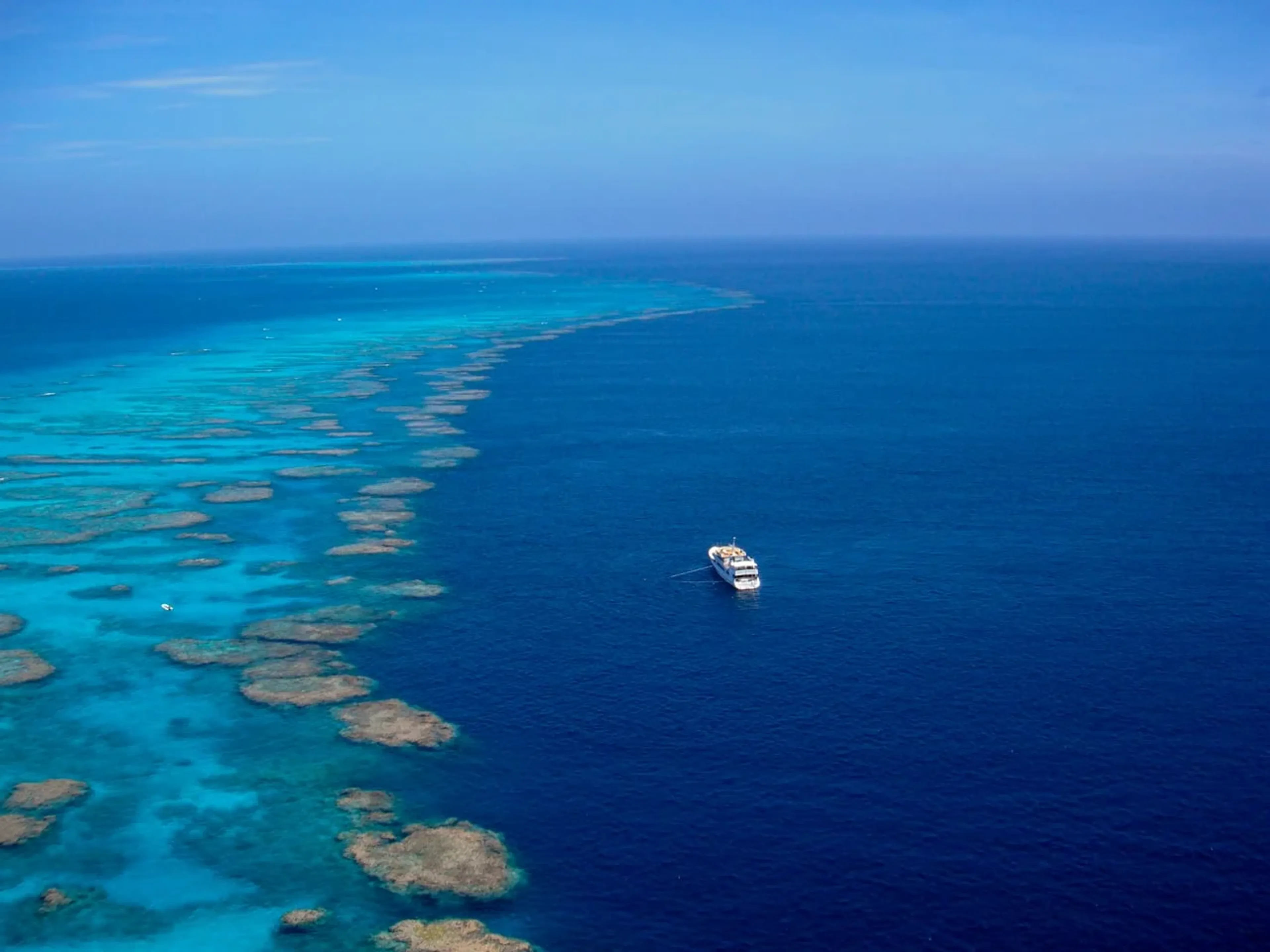 diving osprey reef in australia