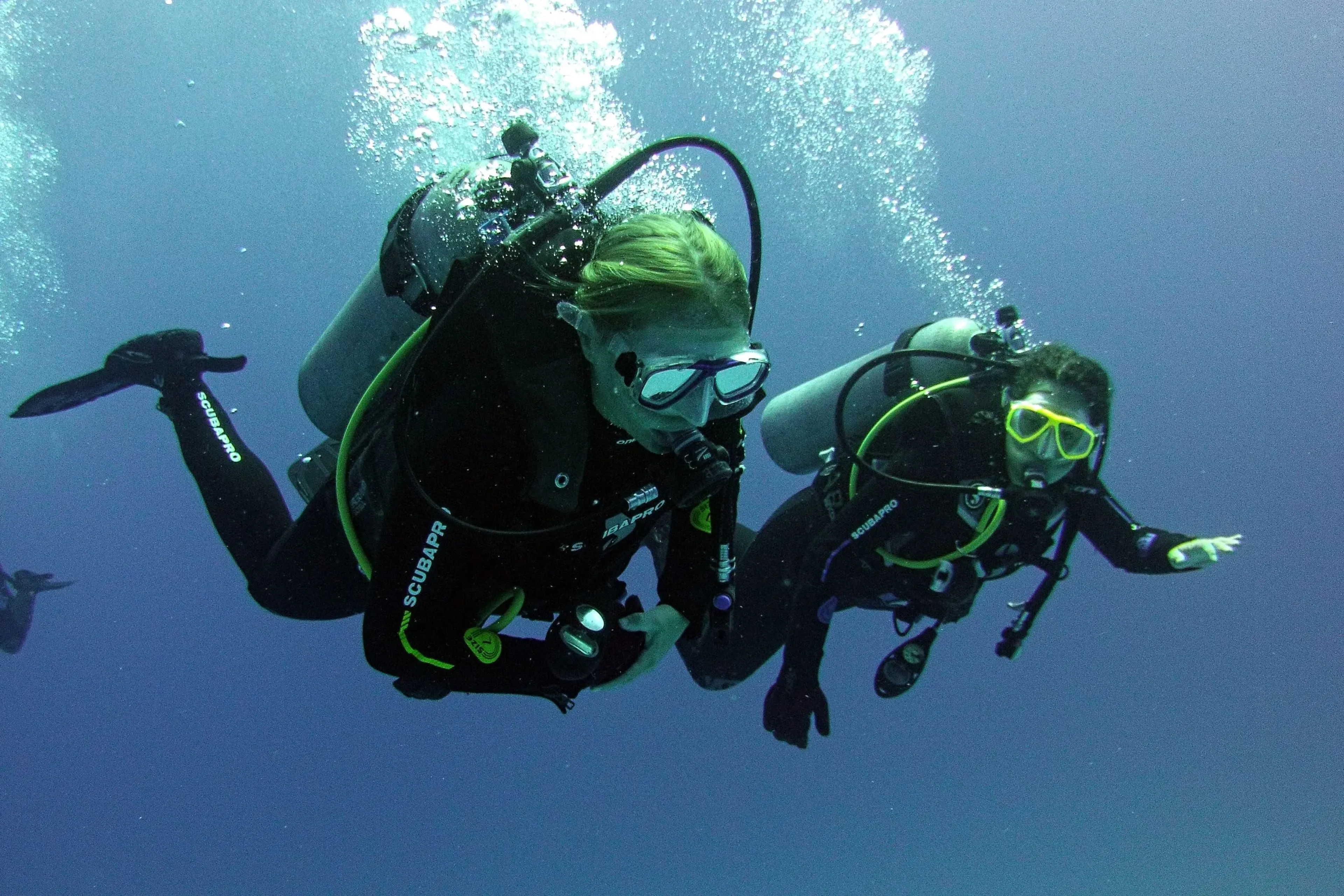 diving from santa cruz in galápagos
