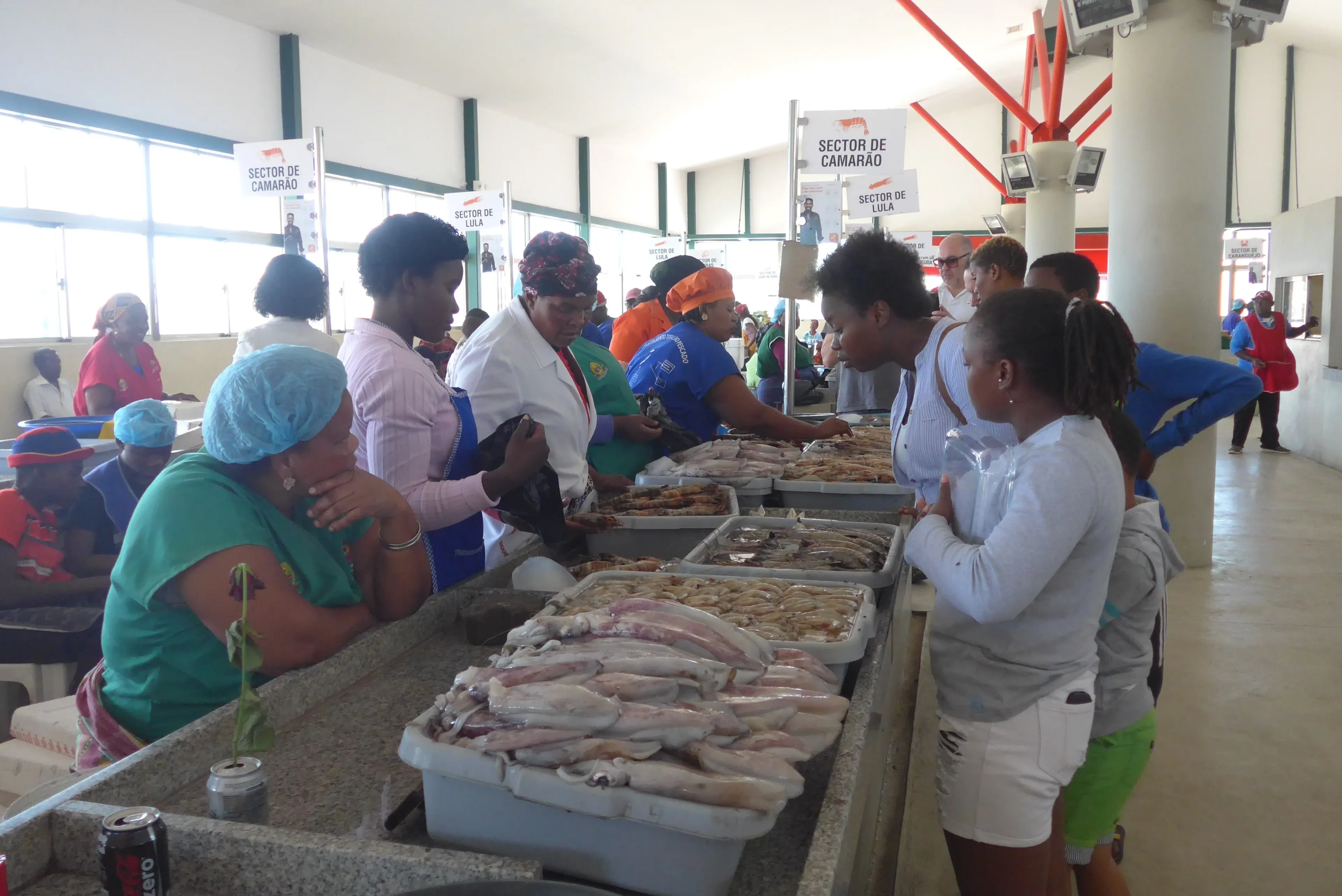 marché aux poissons à maputo au mozambique