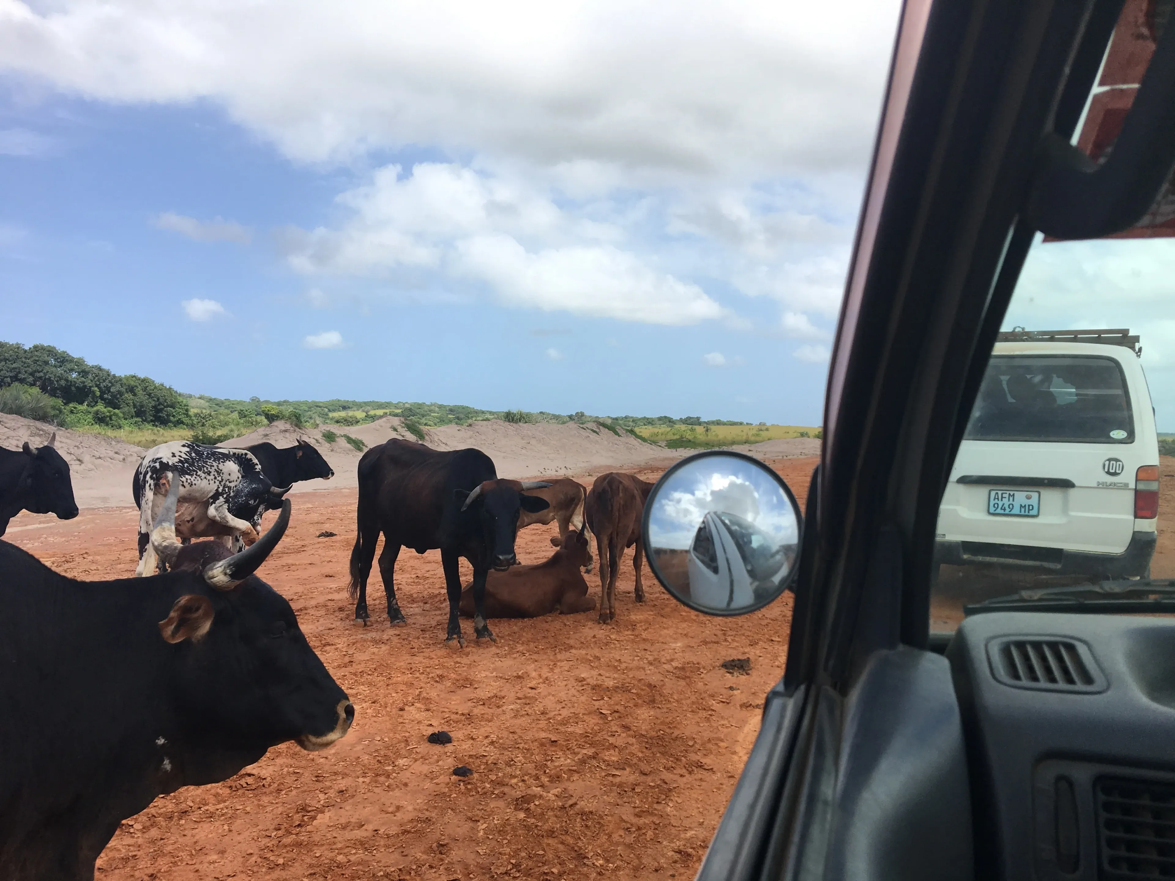 drive to ponta do ouro mozambique