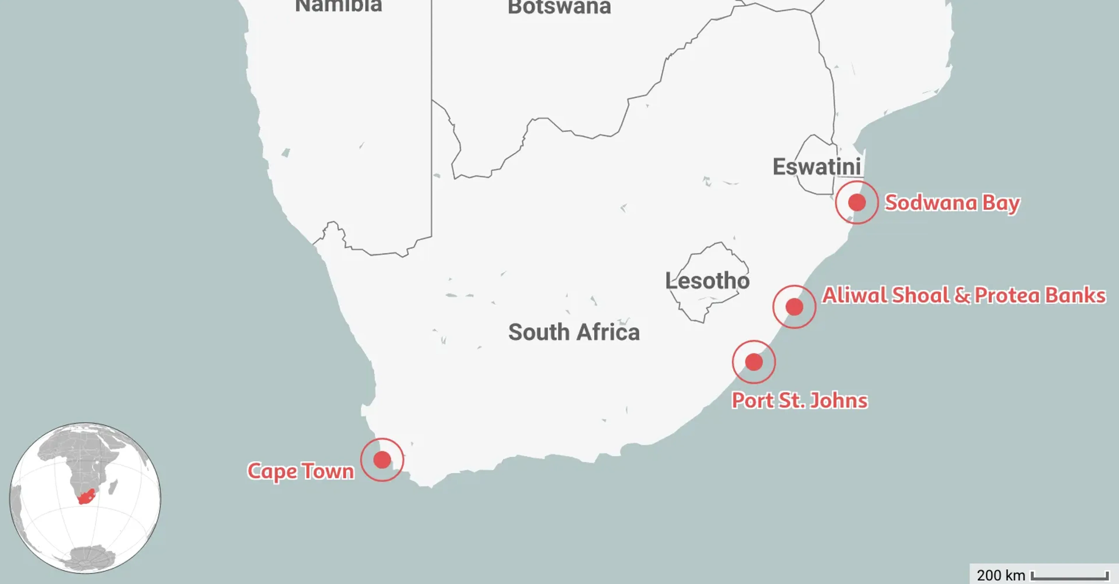 Mapped: 4 Best Places to Dive in South Africa