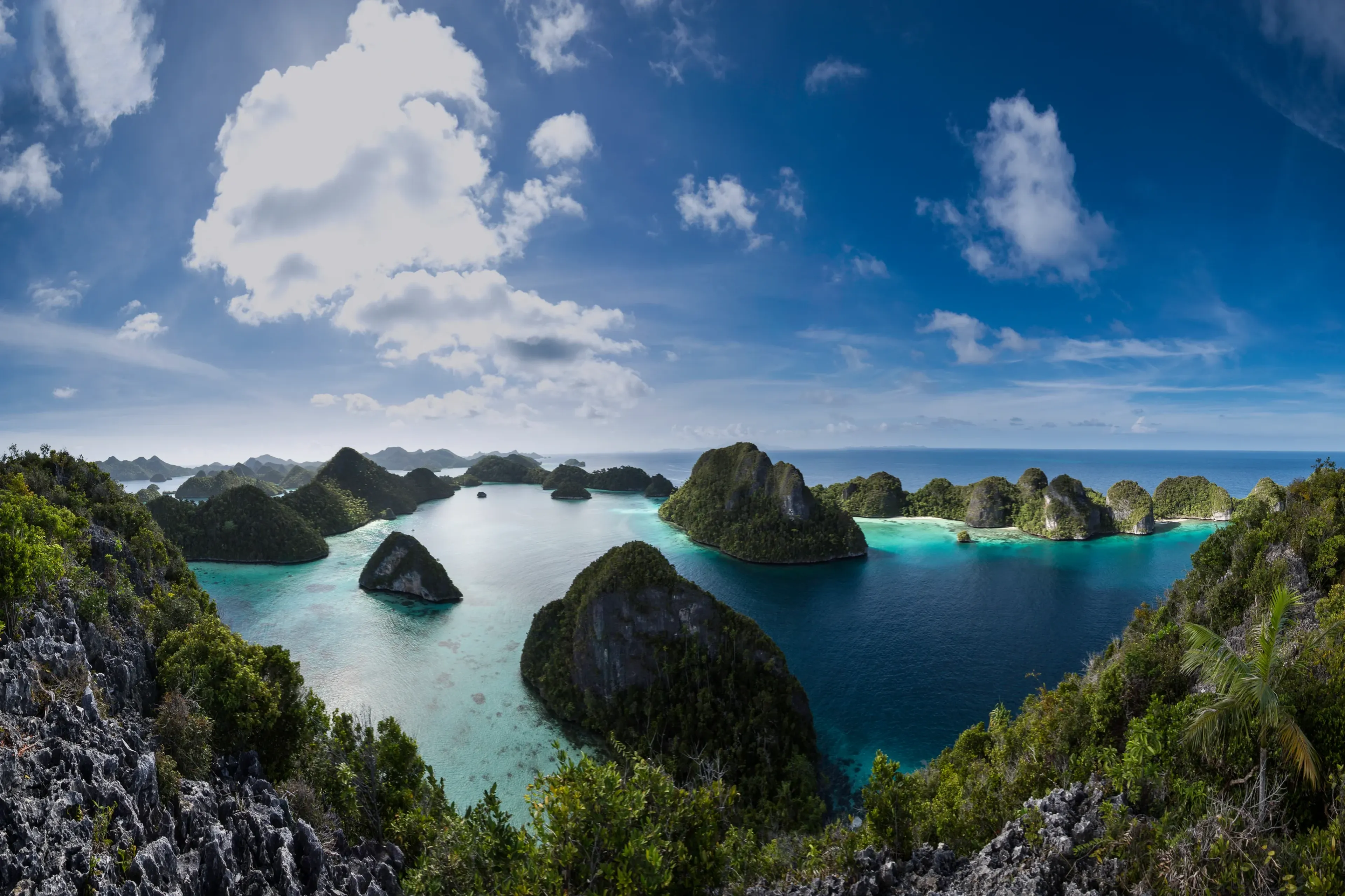 01_coralia_raja-ampat_panorama.webp