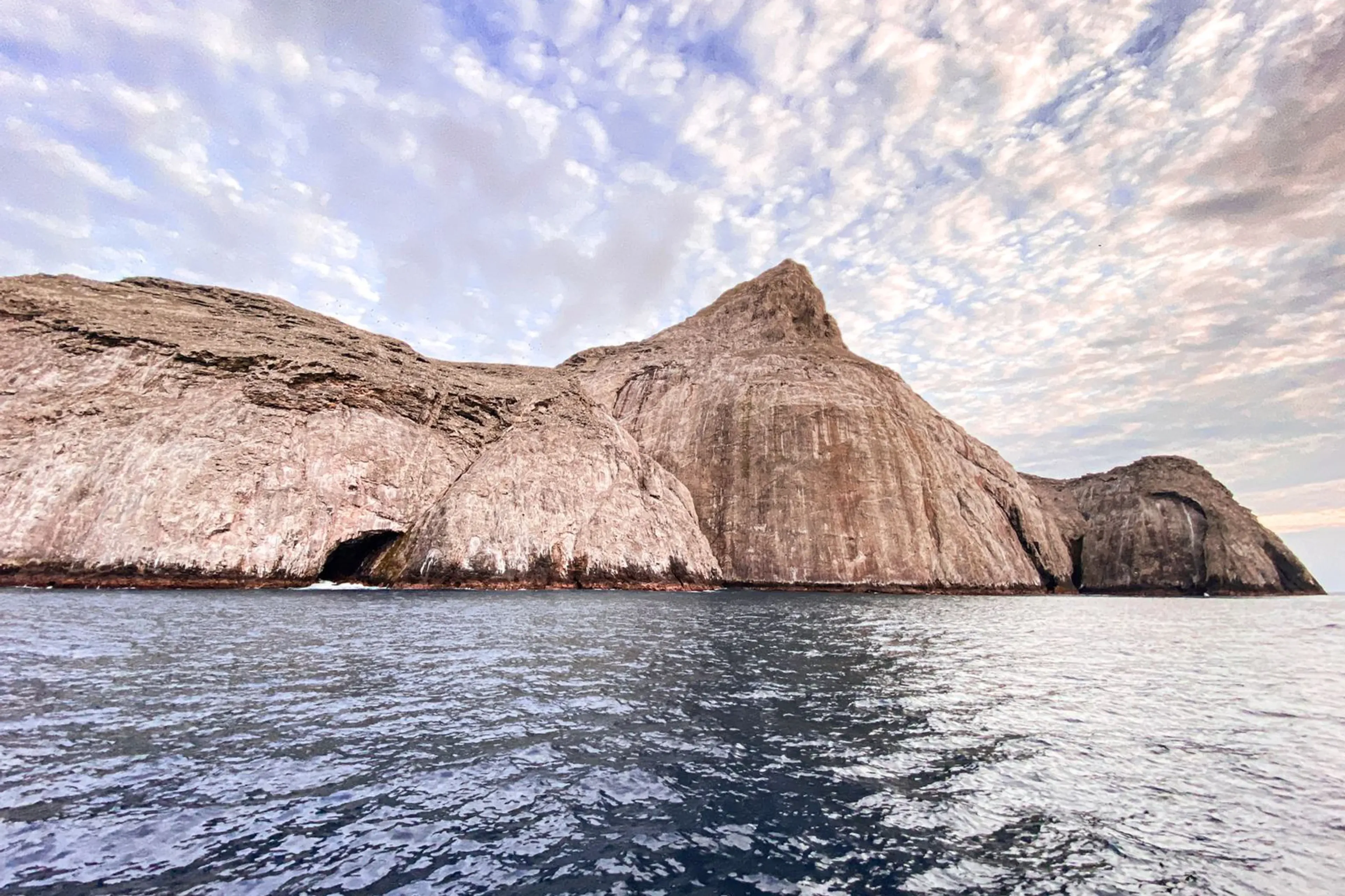 01_ferox_malpelo_island.webp