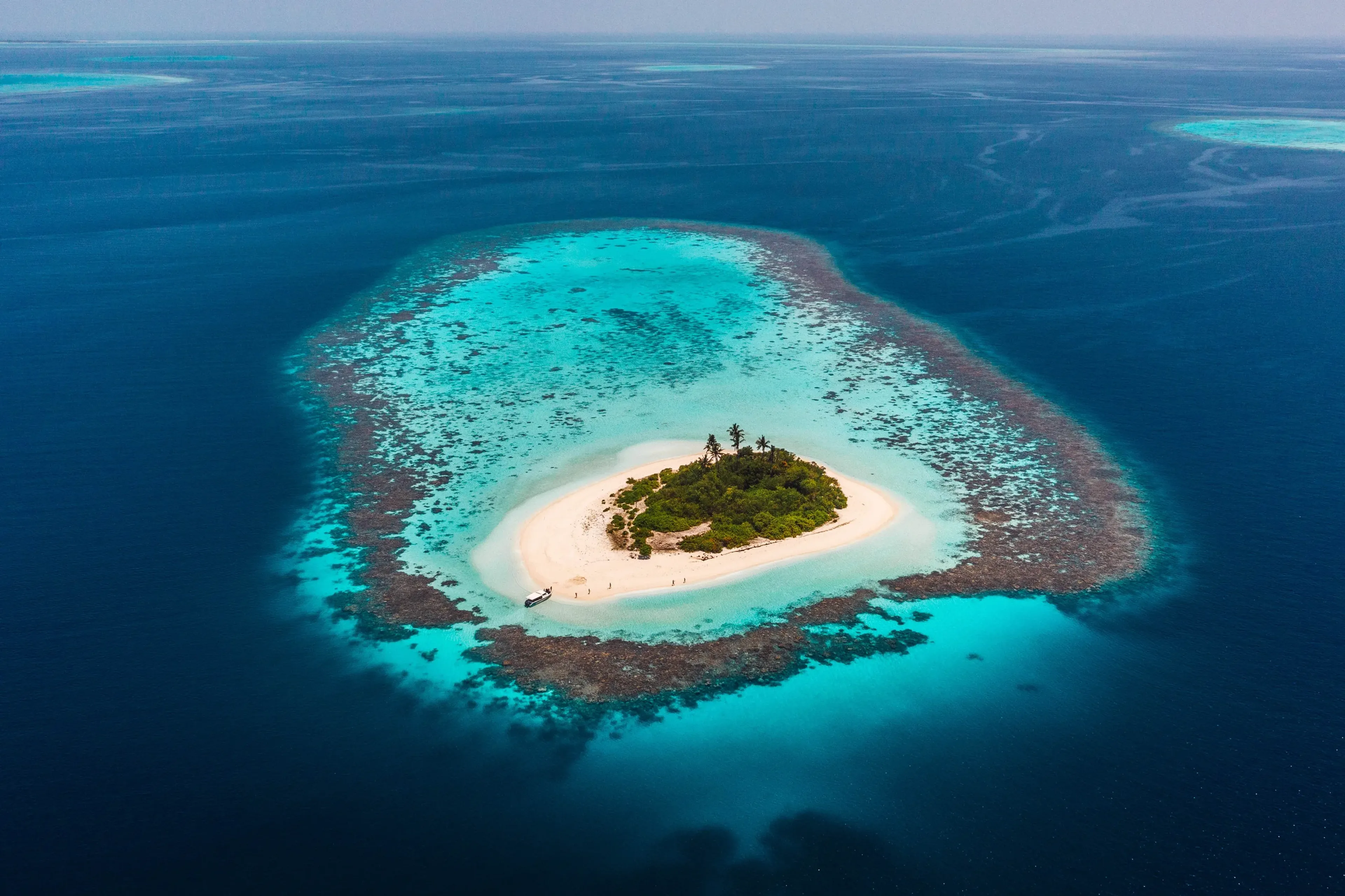 01_seafari_maldives_members_atoll.webp