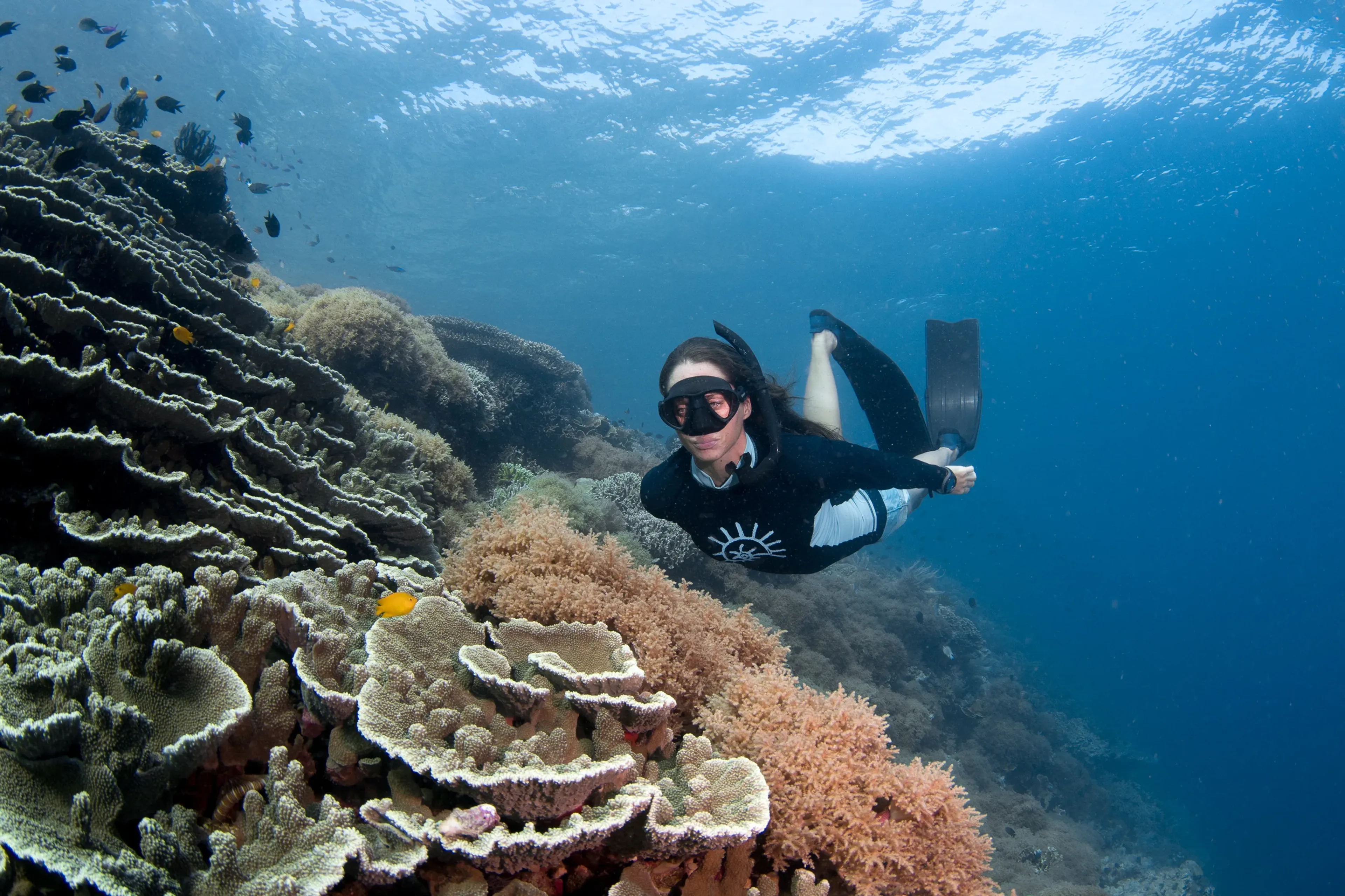 01_siladen-resort_bunaken_6419.webp