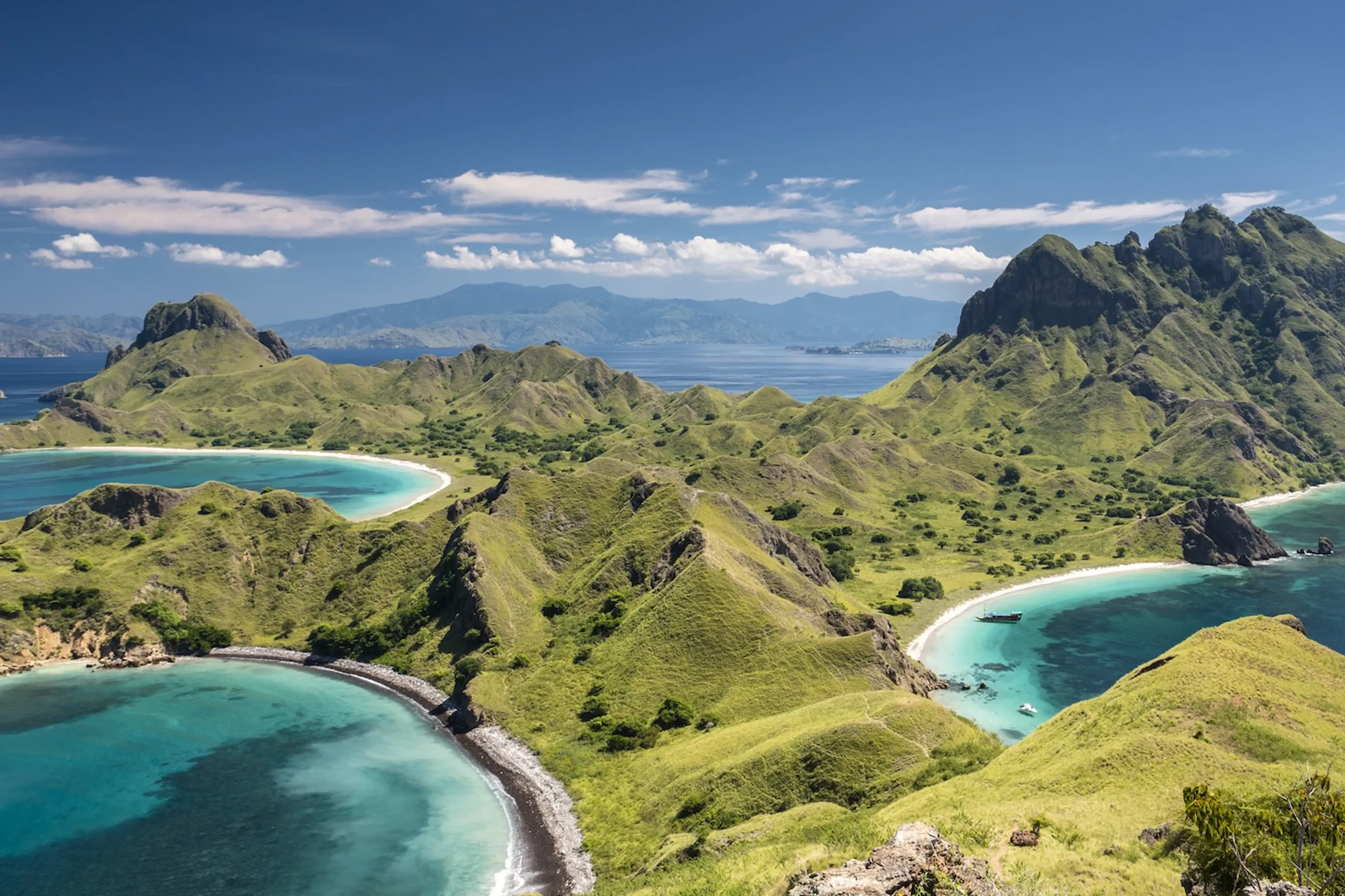 01_wallacea-seahorse_komodo-bali_viewpoint.webp