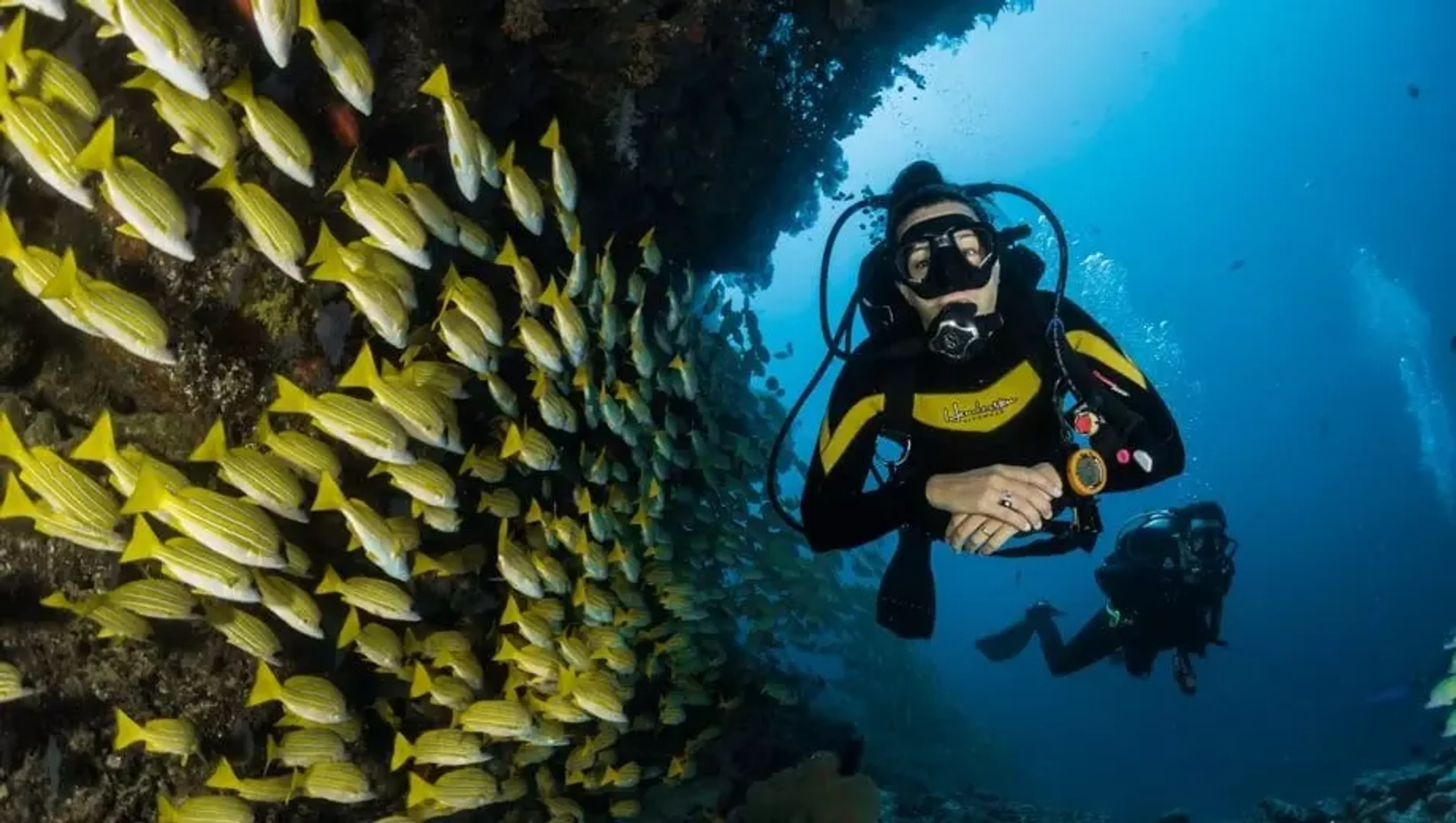 responsible diver in maldives