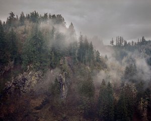 snoqualmie Evergreens 2015.jpg