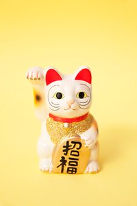 lucky-cat.jpg