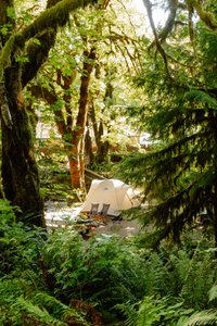 travel_photographer_editorial_pacific_northwest-4.jpg