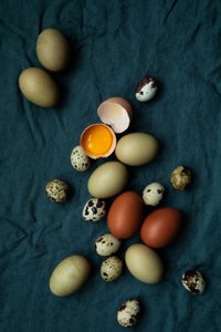 green-and-brown-chicken-and-quail-eggs-angela-decenzo-20210102_41A8314.jpg