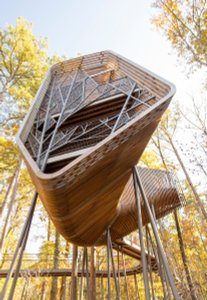 Garvan Garden's TreeHouse.jpg