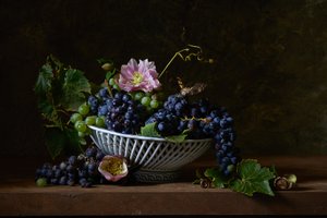 SHIH_grapes_insta-1.jpg