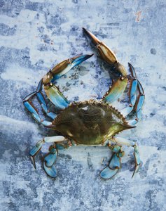 MKA_CO_LowCountry_RawBlueCrab.jpg