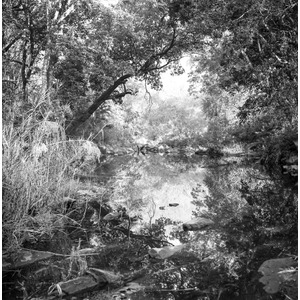 Untitled Export-water reflection river trees lusaka zambia travel photography victoria kelly.jpg