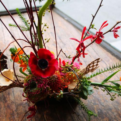 Flowers from IXIA.