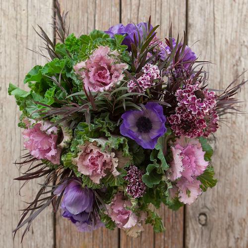 Flowers from IXIA.
