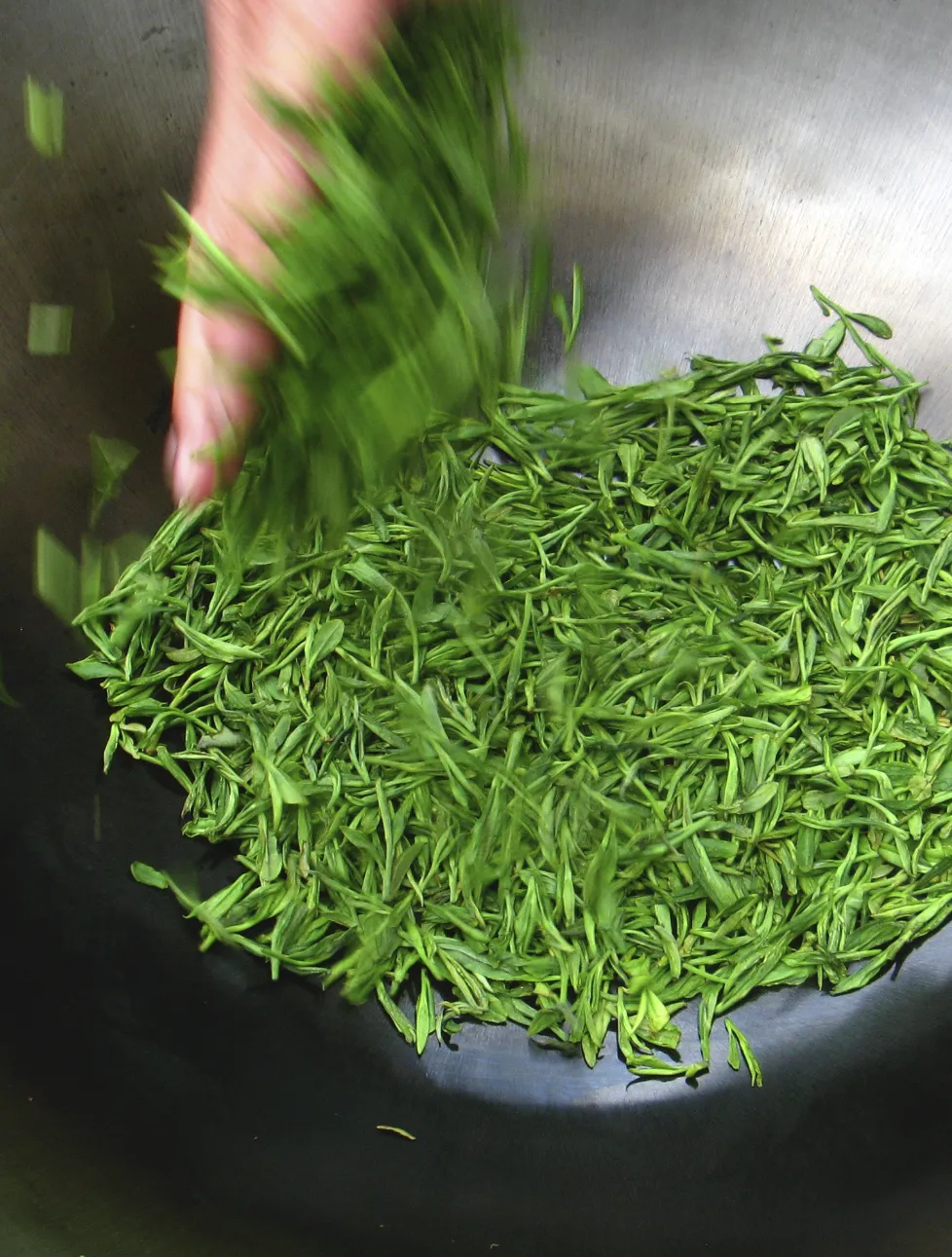 Teance Fine Teas restaurant in Berkeley, United States
