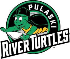 Pulaski River Turtles