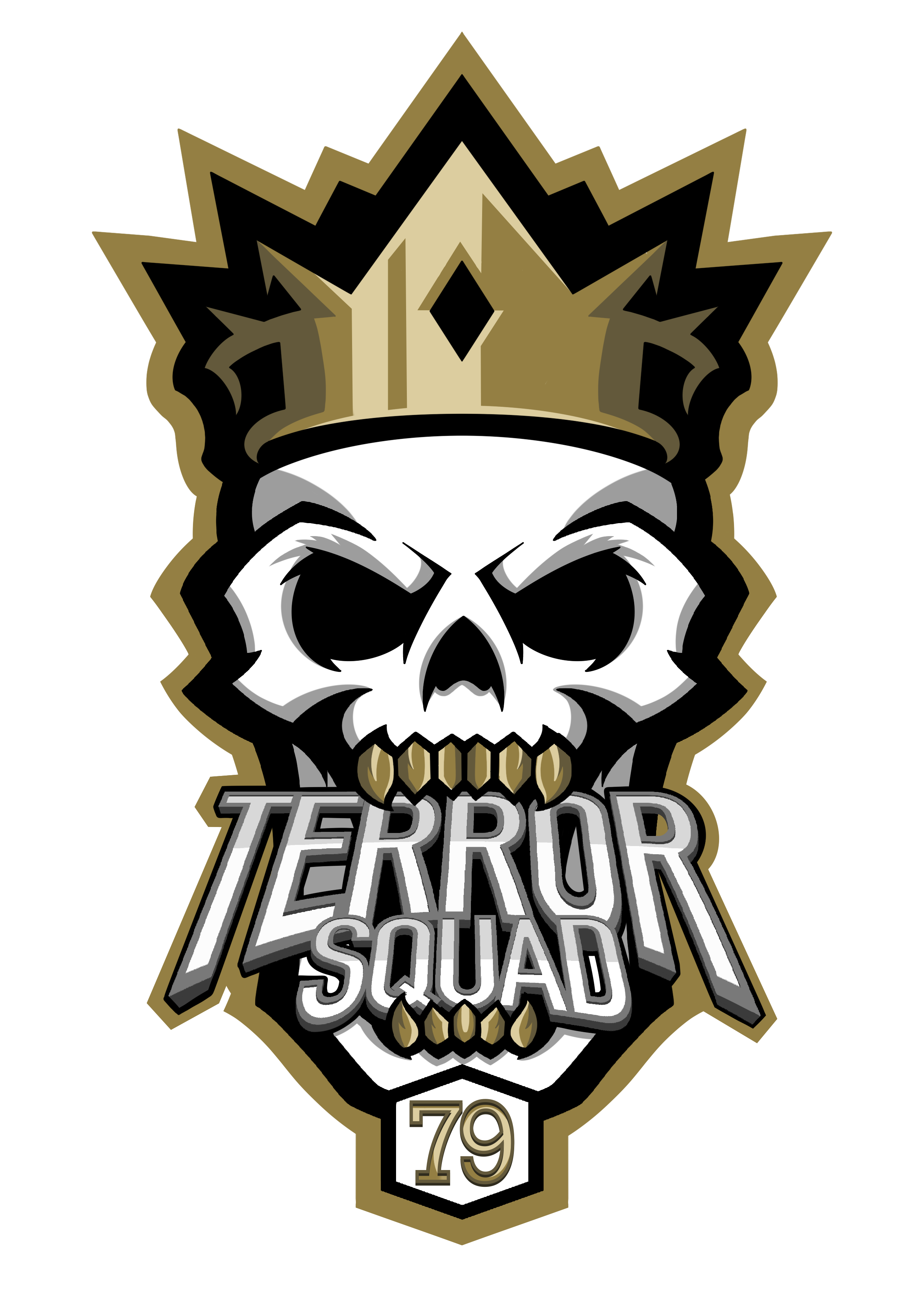 Terror squad. Группа Terror Squad. Terror Squad фото. 1987 - Terror Squad. Логотип velya Squad.