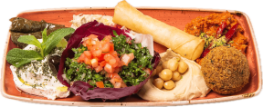 mezze mix für 1 person / mezze mix for 1 person