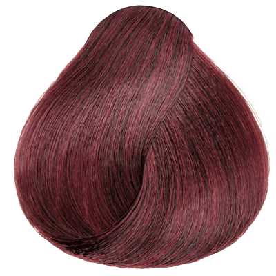 H23 Black Plum