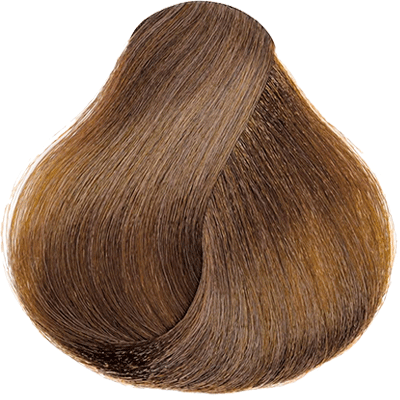 H3 Soft Brown