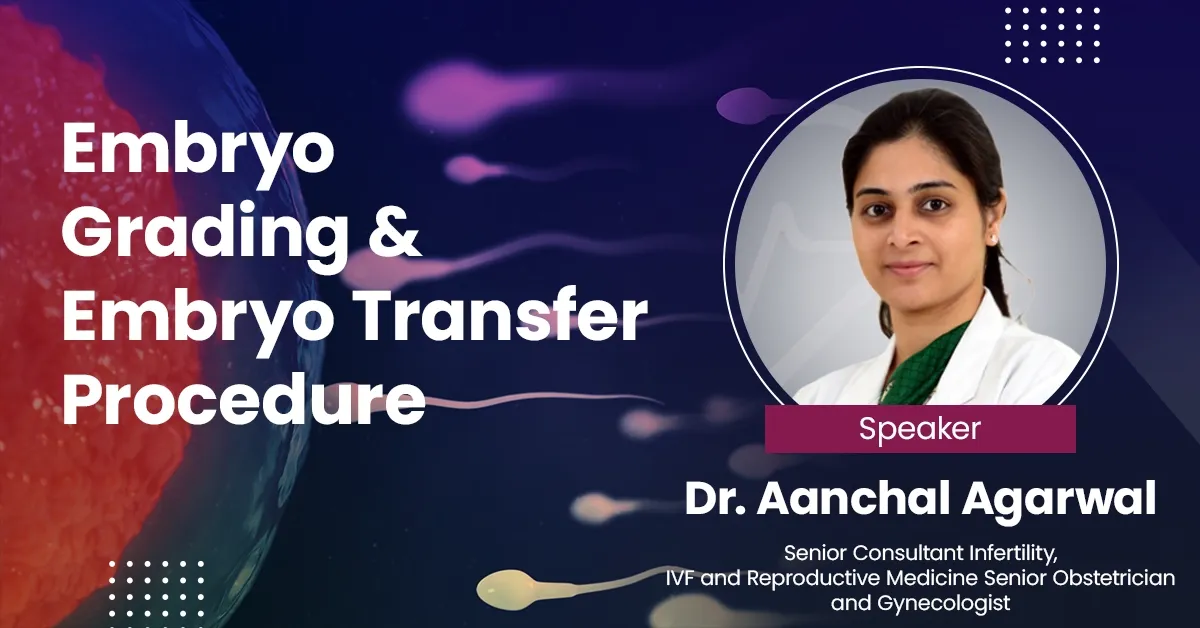Embryo Grading and Embryo Transfer Procedure