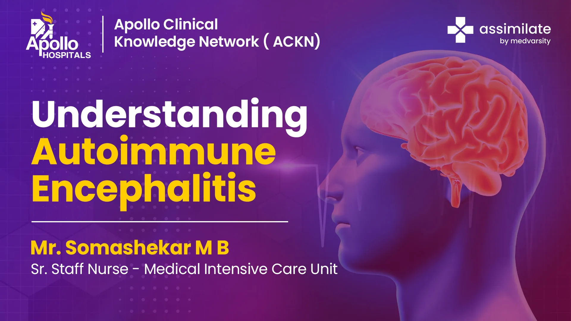 Autoimmune Encephalitis