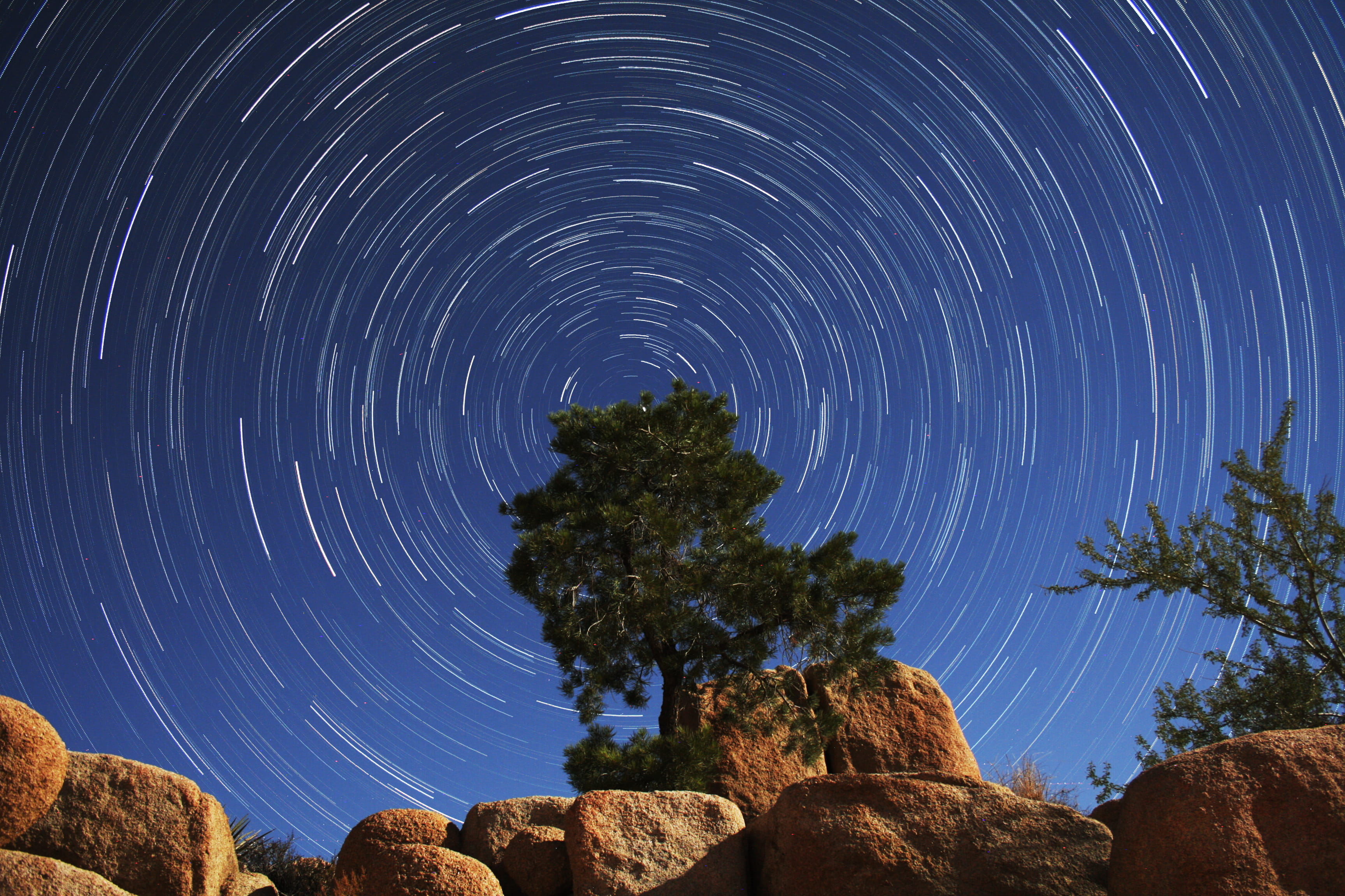 Joshua Tree Startrails