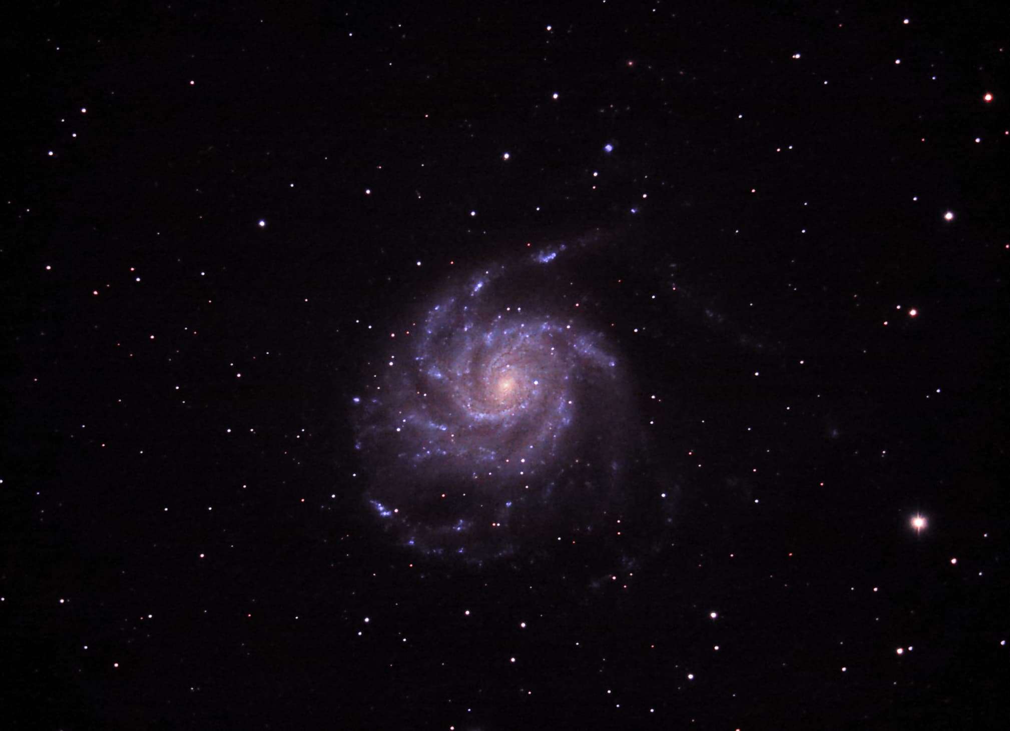 Pinwheel Galaxy