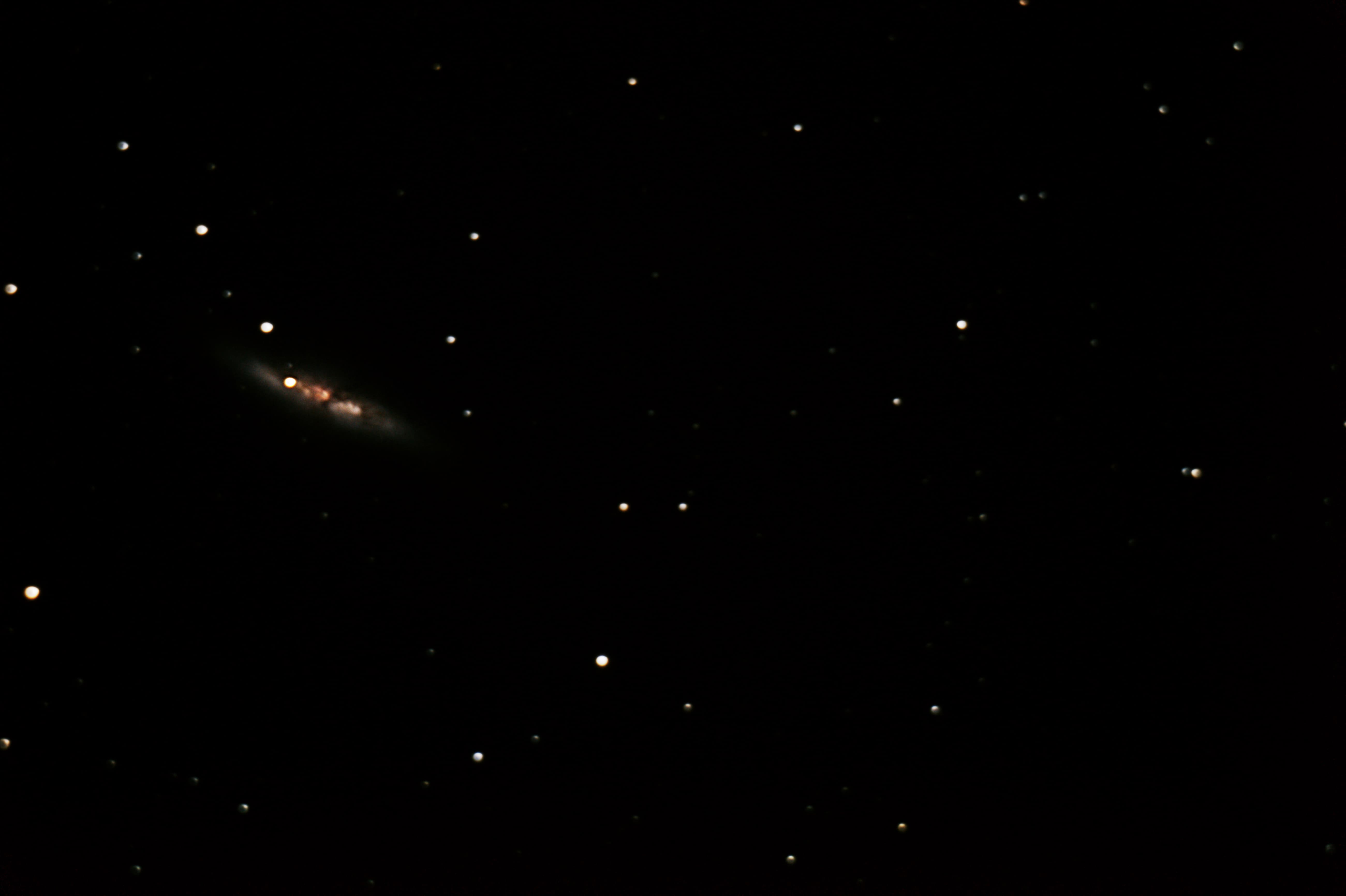 Cigar Galaxy w/ Supernova