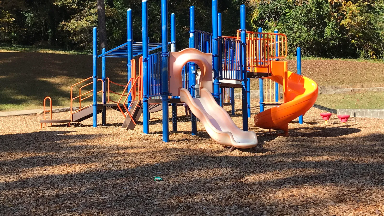 Bear Hollow Zoo — hero image