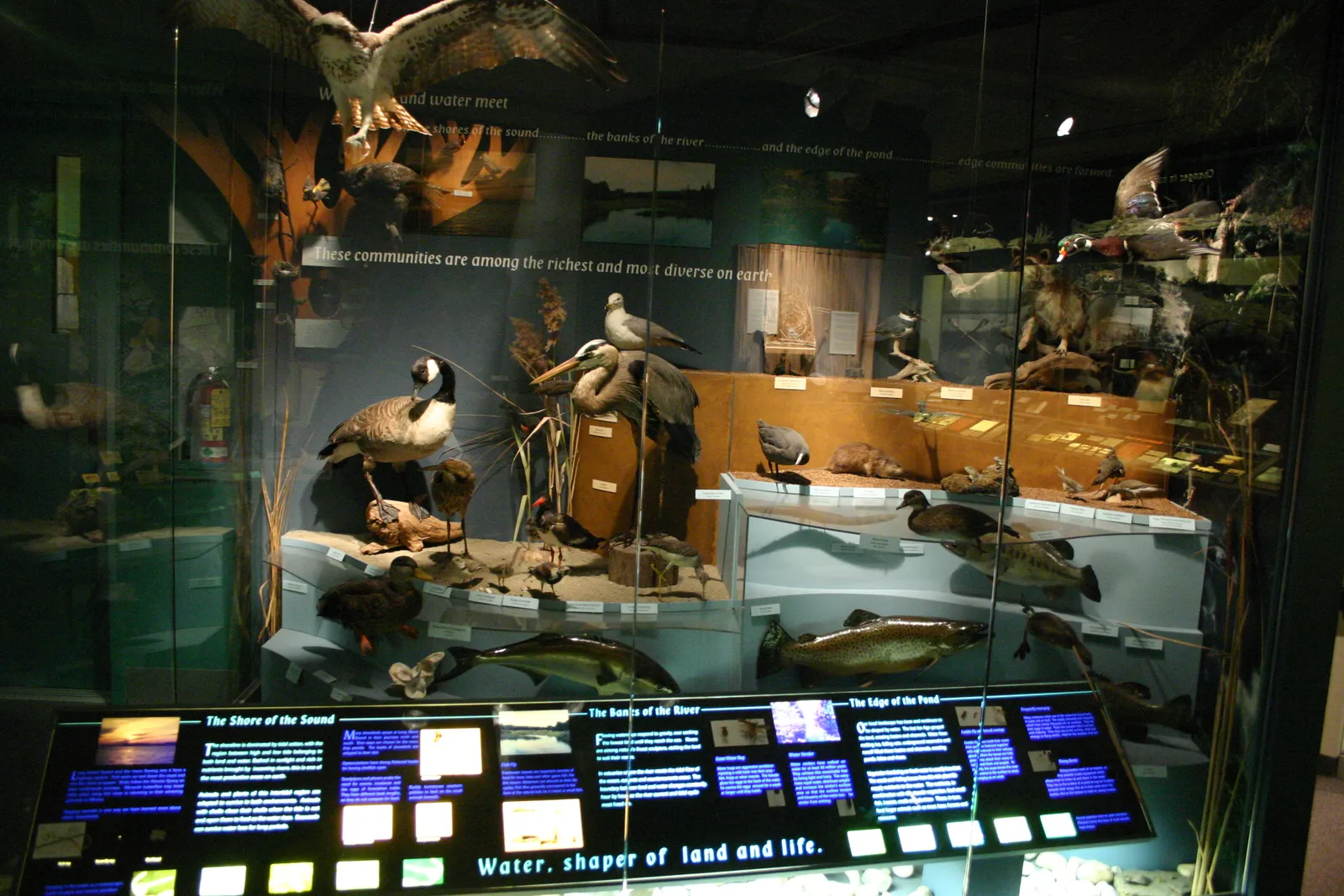 Bruce Museum gallery image 1