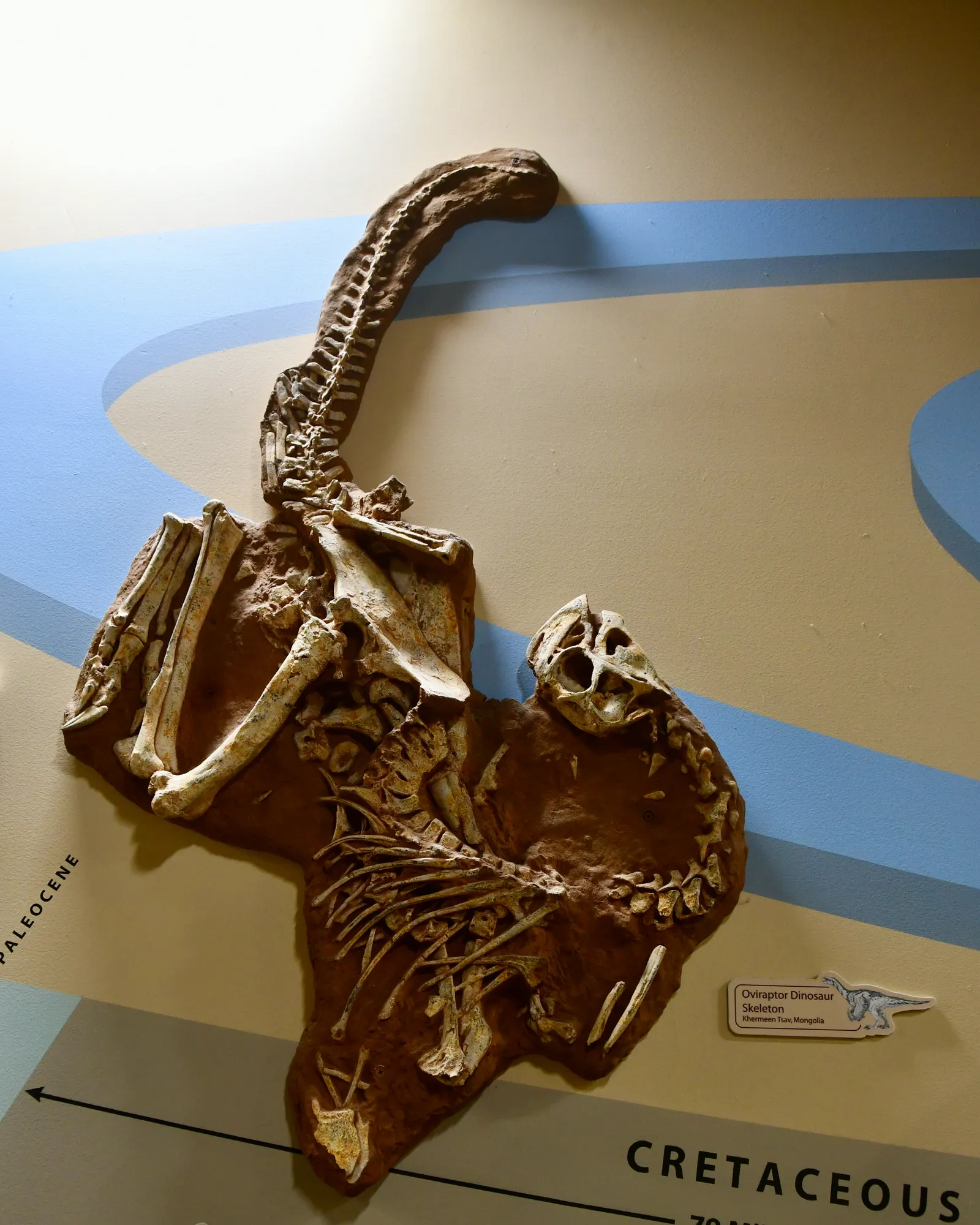 Calvert Marine Museum gallery image 1