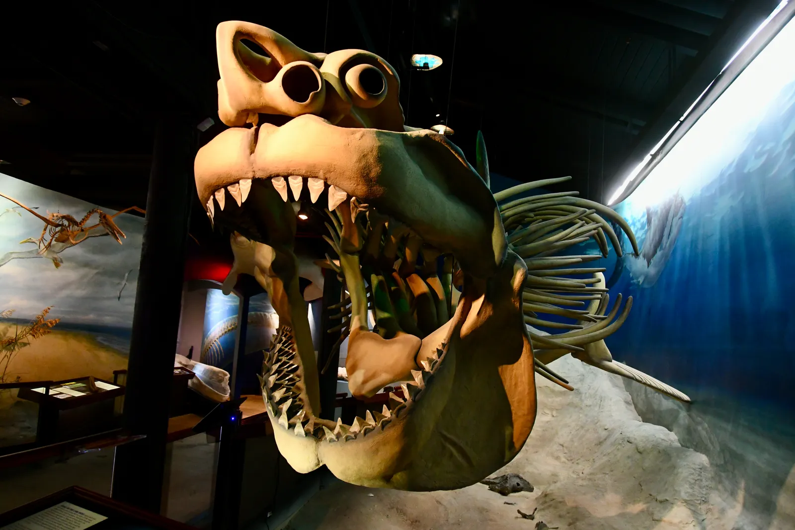 Calvert Marine Museum gallery image 2