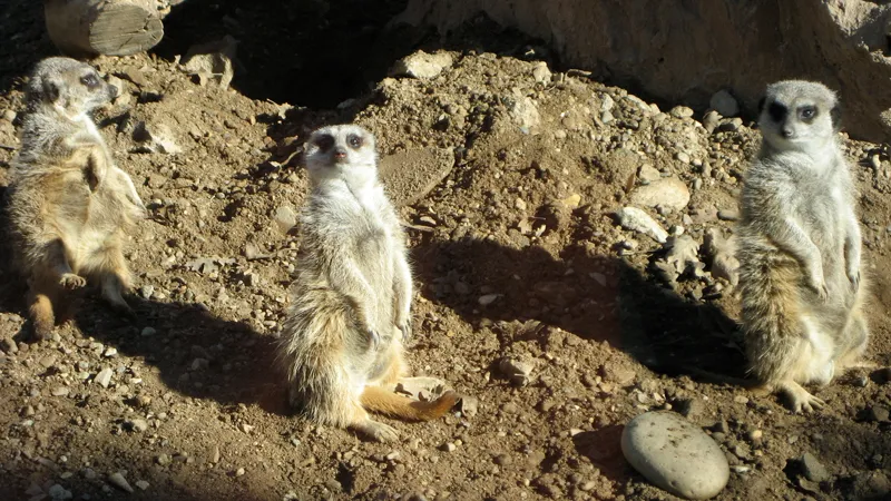 Charles Paddock Zoo gallery image 2