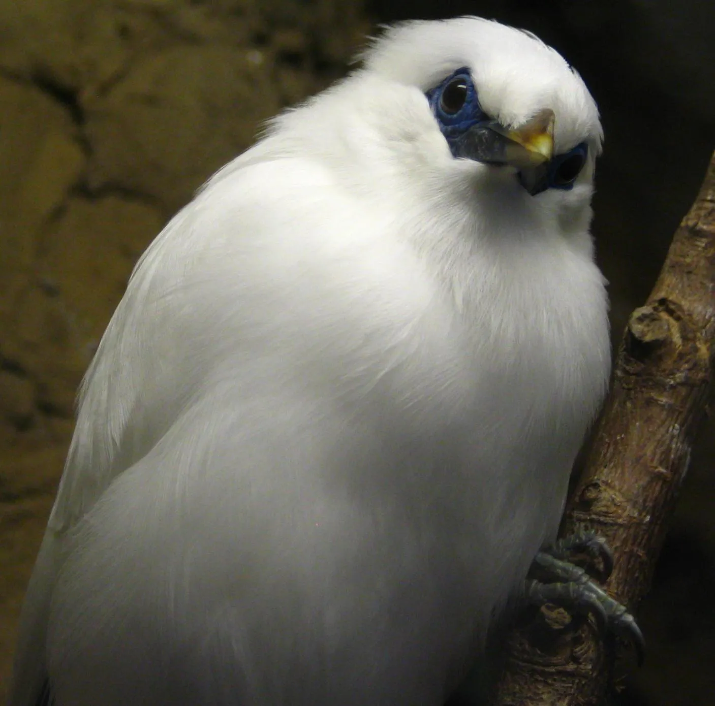 Chattanooga Zoo gallery image 2
