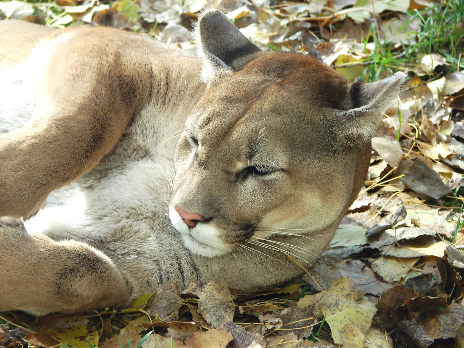 Dakota Zoo gallery image 1