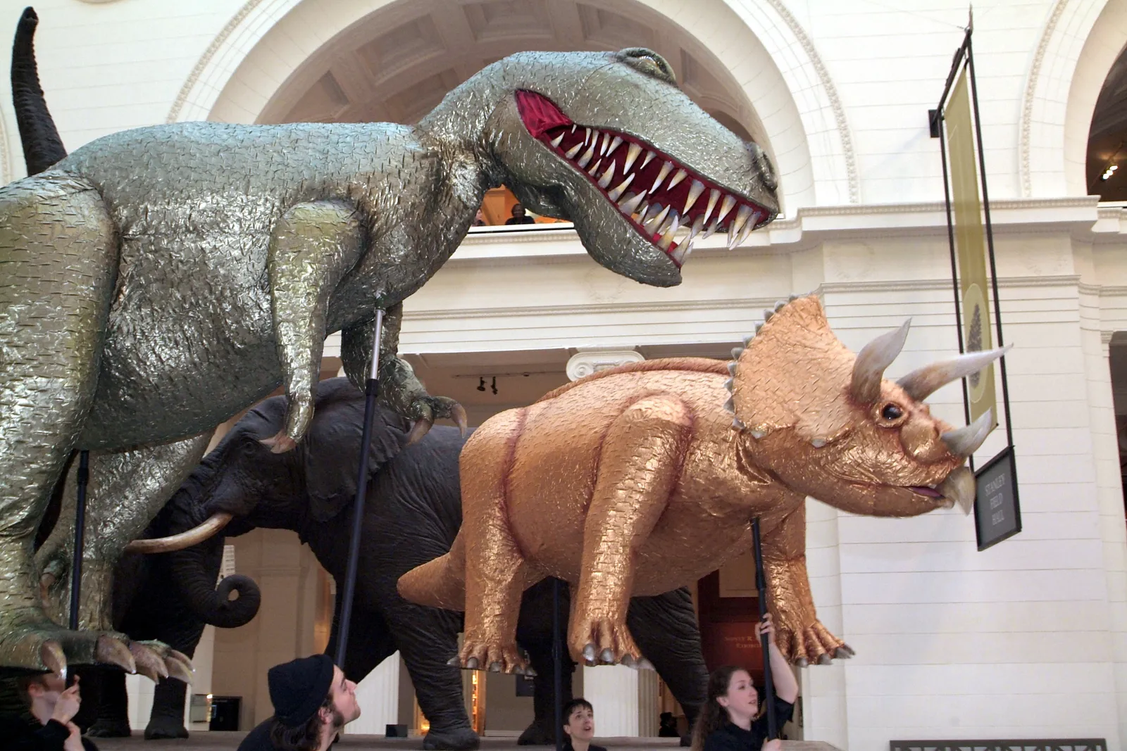 Field Museum gallery image 1