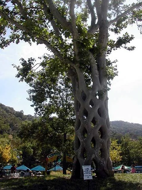 Gilroy Gardens gallery image 1