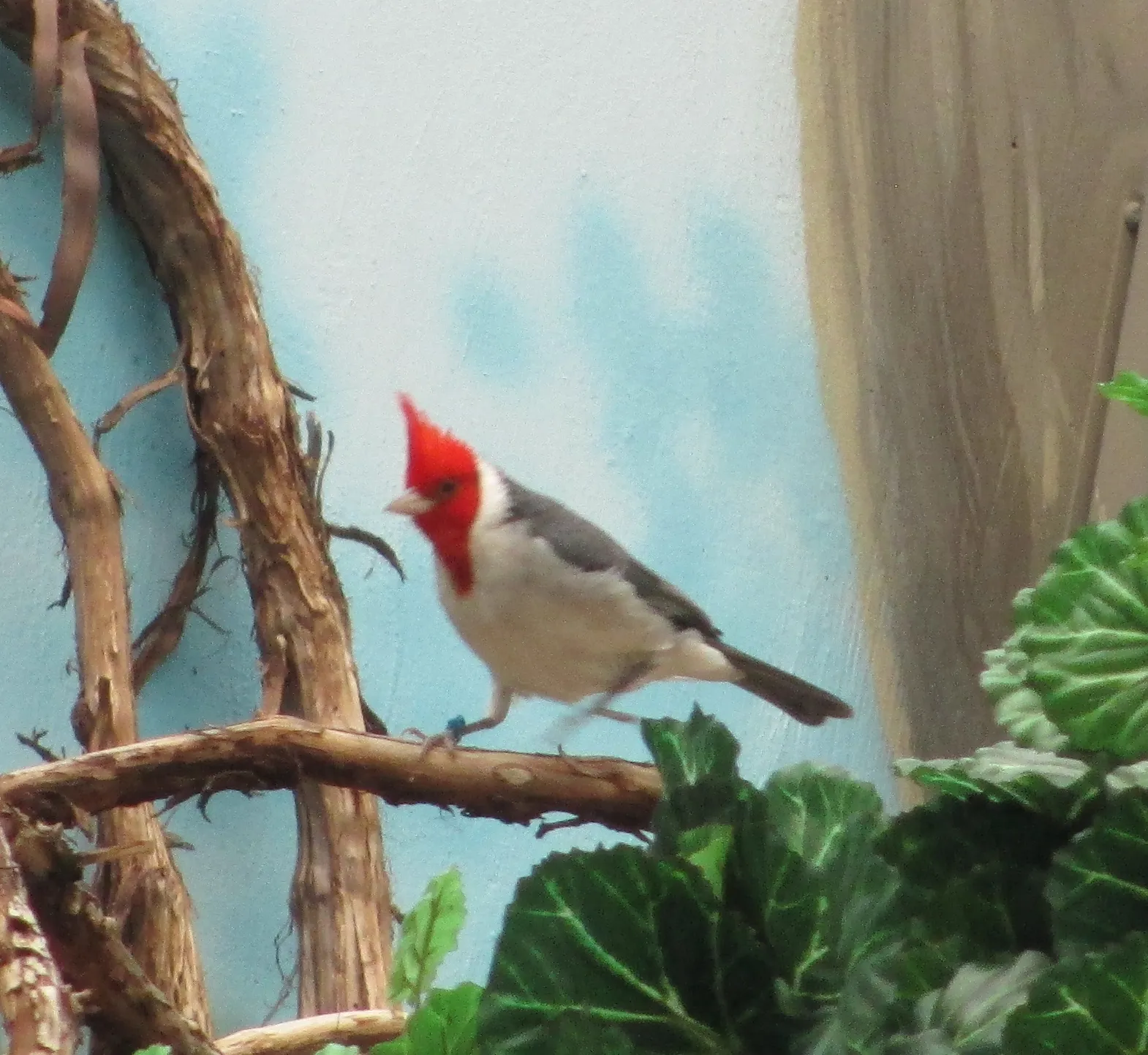Henry Vilas Zoo gallery image 1