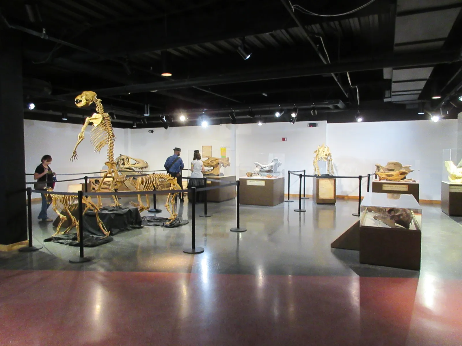 Lafayette Science Museum gallery image 2