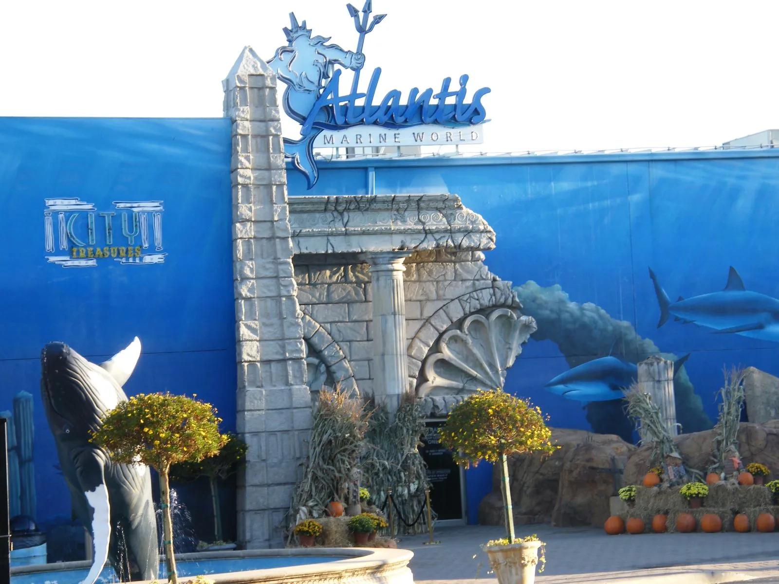 Long Island Aquarium gallery image 2