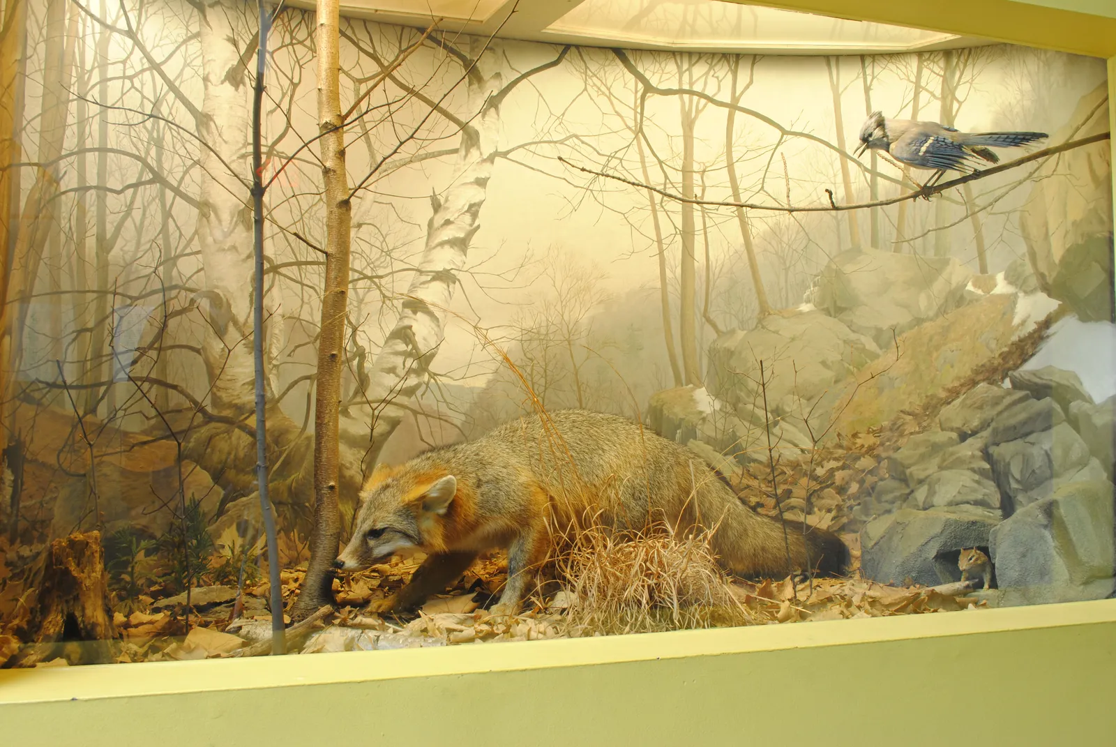 Morris Museum gallery image 2