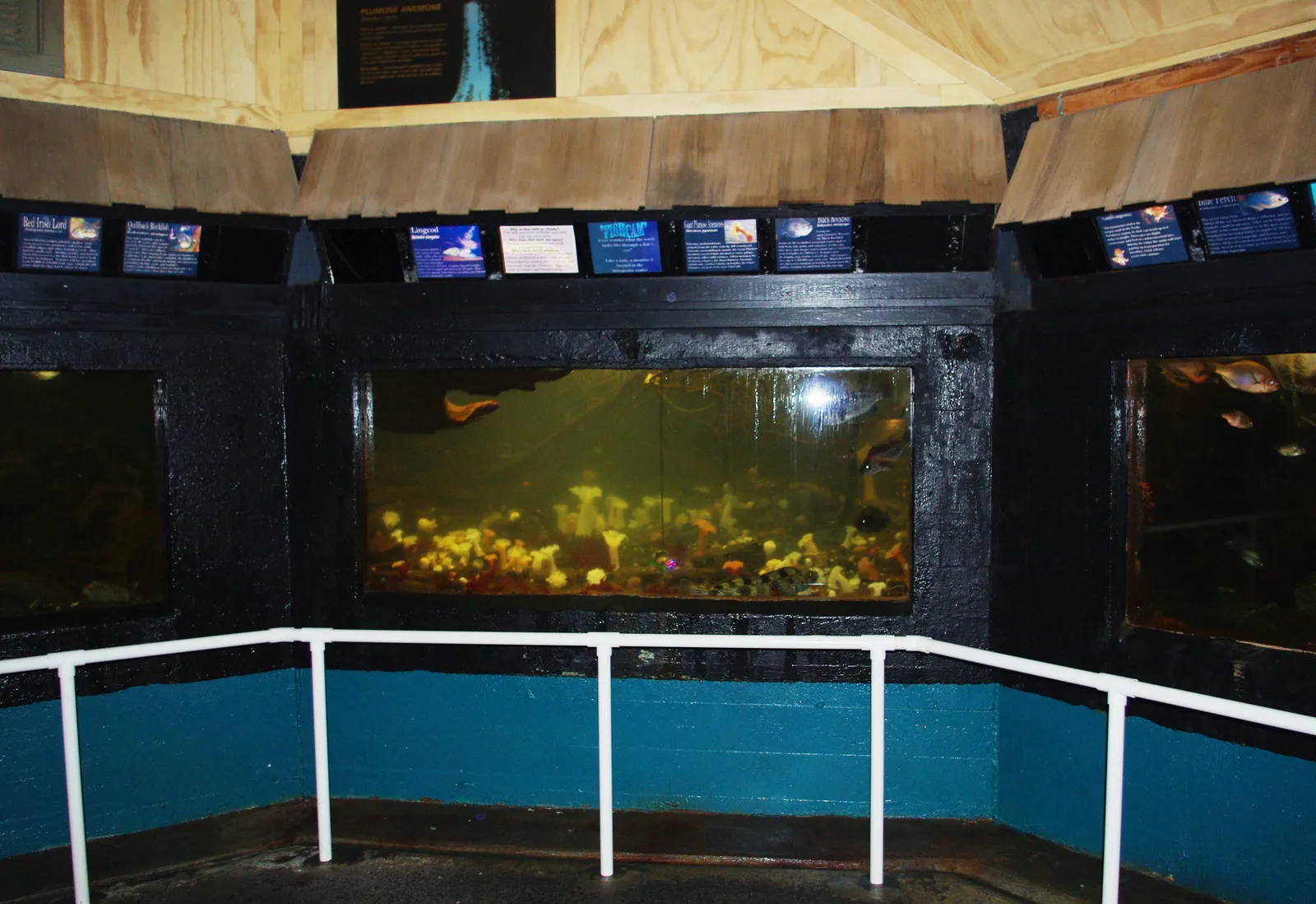Seaside Aquarium gallery image 1