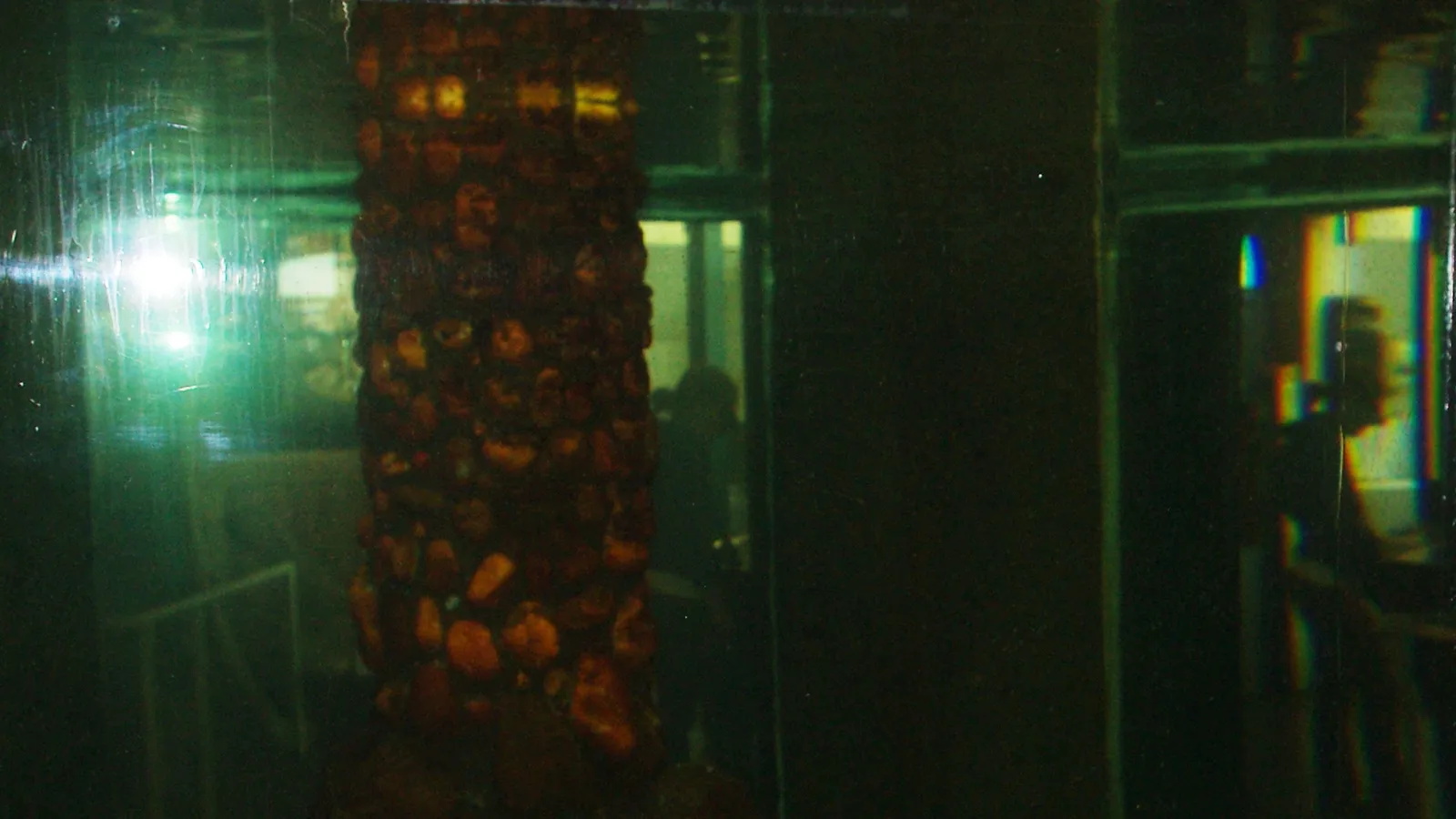 Seaside Aquarium — hero image
