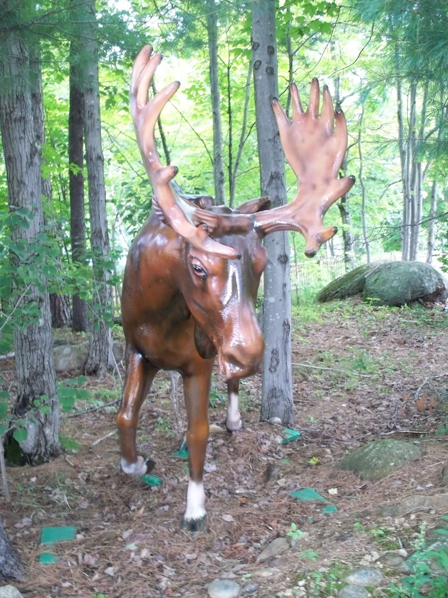 Story Land gallery image 2