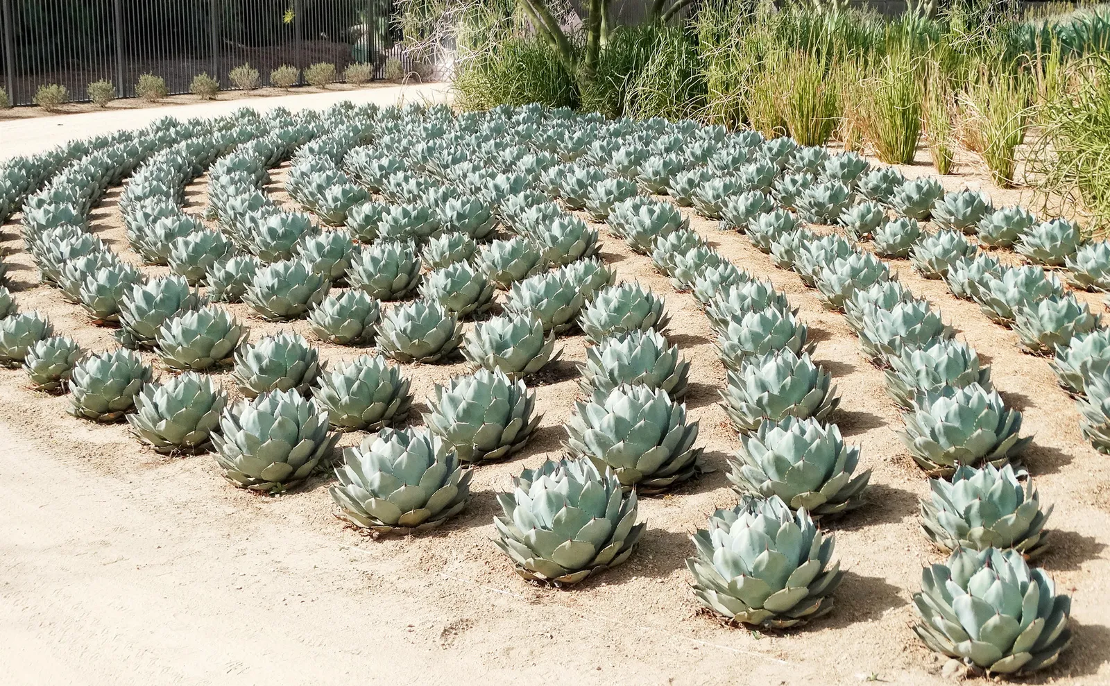 Sunnylands gallery image 2