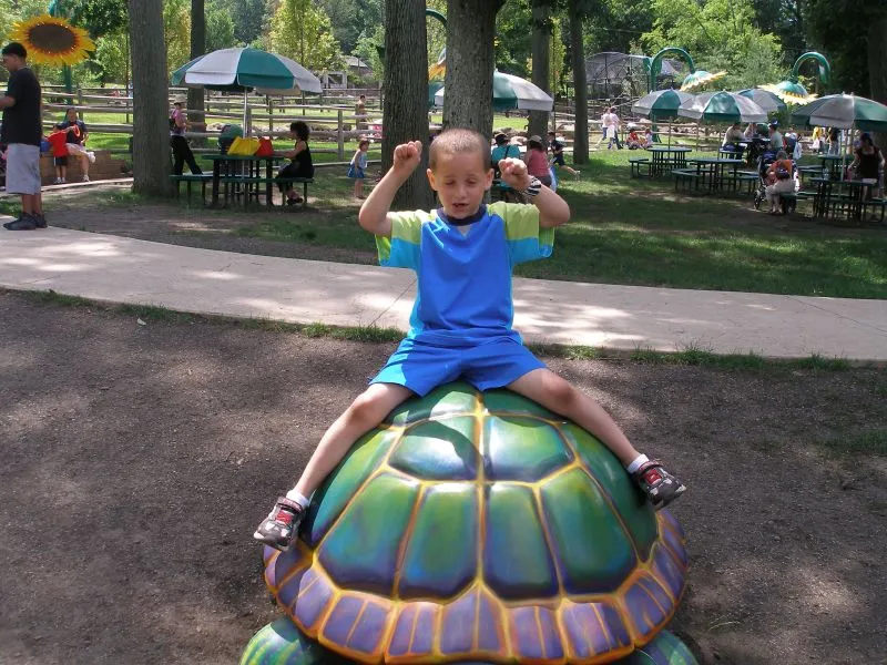 Turtle Back Zoo — photo 1